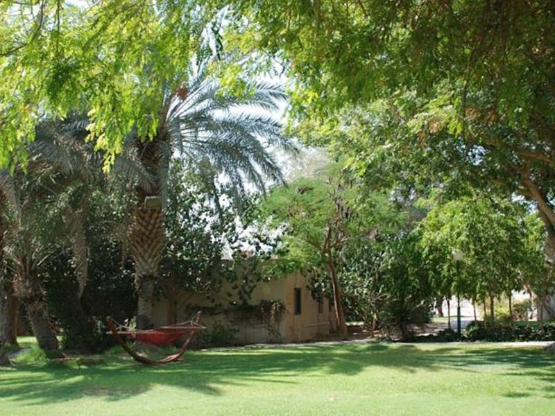 Eilot Kibbutz Country Lodging Ejlat Exteriér fotografie