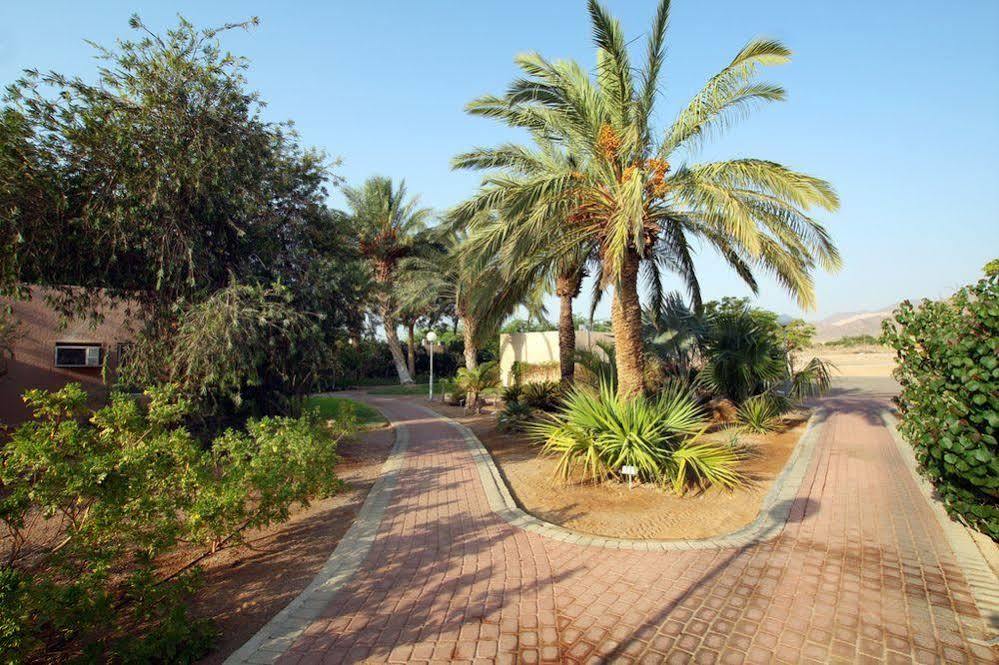 Eilot Kibbutz Country Lodging Ejlat Exteriér fotografie